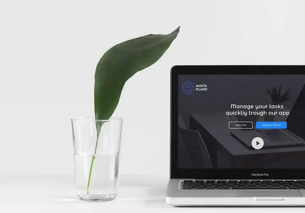 Laptop with a screenshot of website